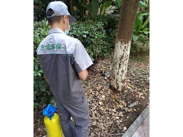 案例展示